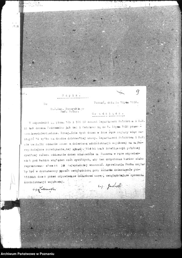 Obraz 13 z jednostki "Domeny"