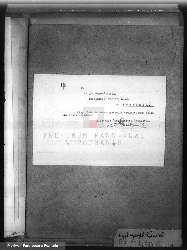 image.from.unit.number "Zalesienie nieużytków w powiecie obornickim"