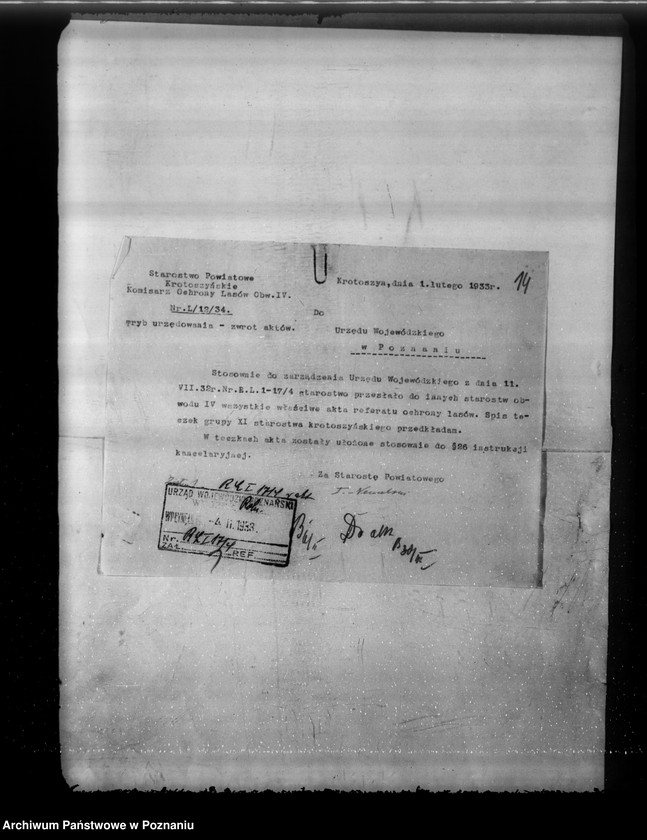 Obraz 18 z jednostki "Komisarze ochrony lasów"