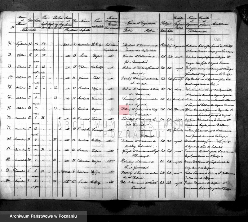 Obraz 7 z jednostki "Liber baptisatorum"