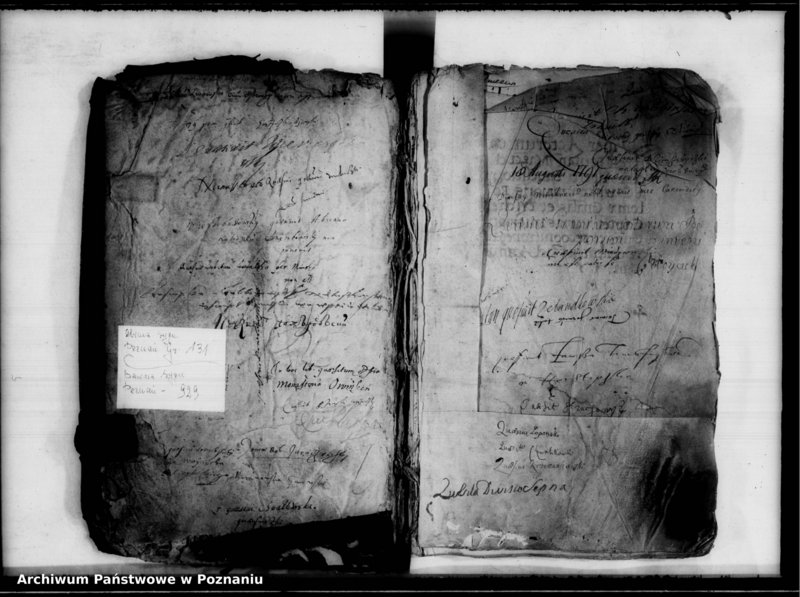 Obraz 3 z jednostki "Inscriptiones, relationes [inducta]"