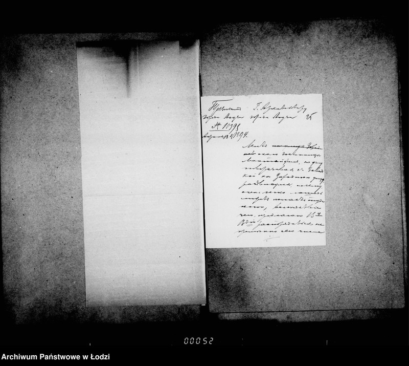 Obraz 20 z jednostki "O počinke mostov v 1894 godu"