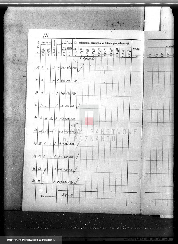 Obraz 16 z jednostki "Plan urządzenia gospodarstwa leśnego dla lasu majętności Nowy Dwór w powiecie nowotomyskim 1930-1940"