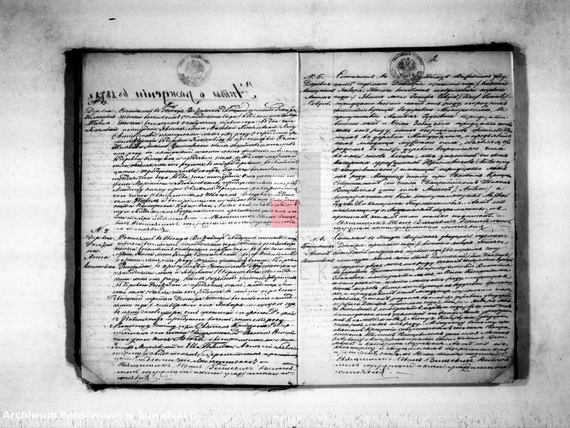 Obraz 4 z jednostki "Duplikat uroždennych, umeršich i brakosočetavšichsja rimsko-katoličeskogo vižajnskogo prichoda za 1871god"