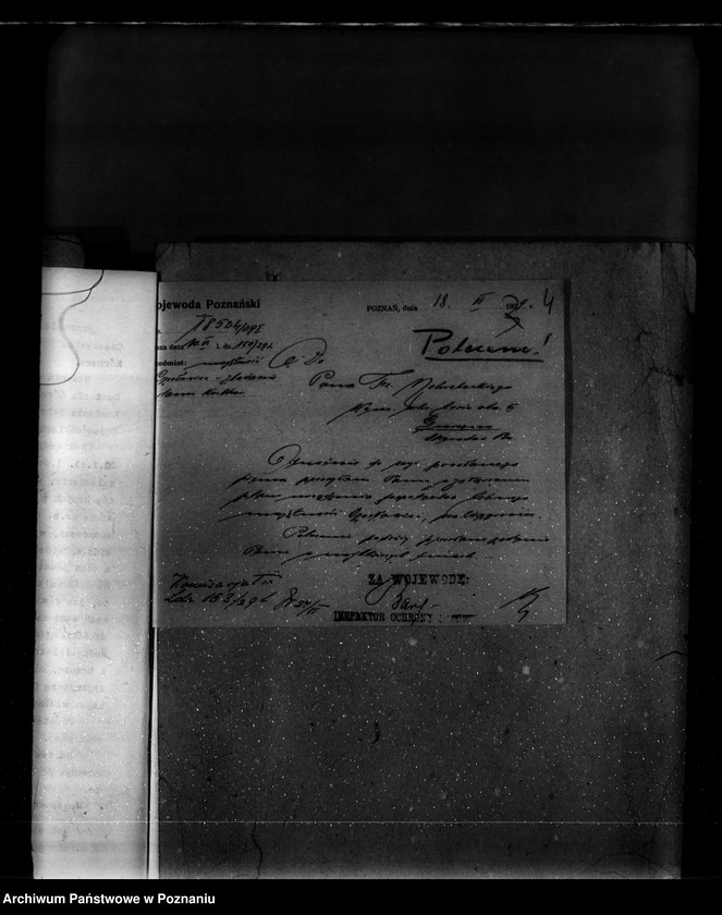 Obraz 8 z jednostki "Majętność leśna Czesławice powiat wągrowiecki własność Koerner"