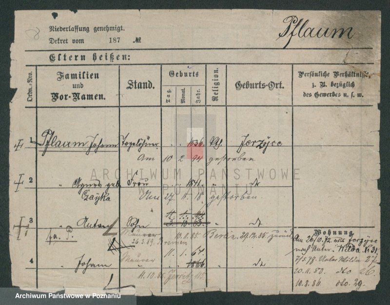 Obraz 4 z jednostki "Pfeifke - Pfleging"