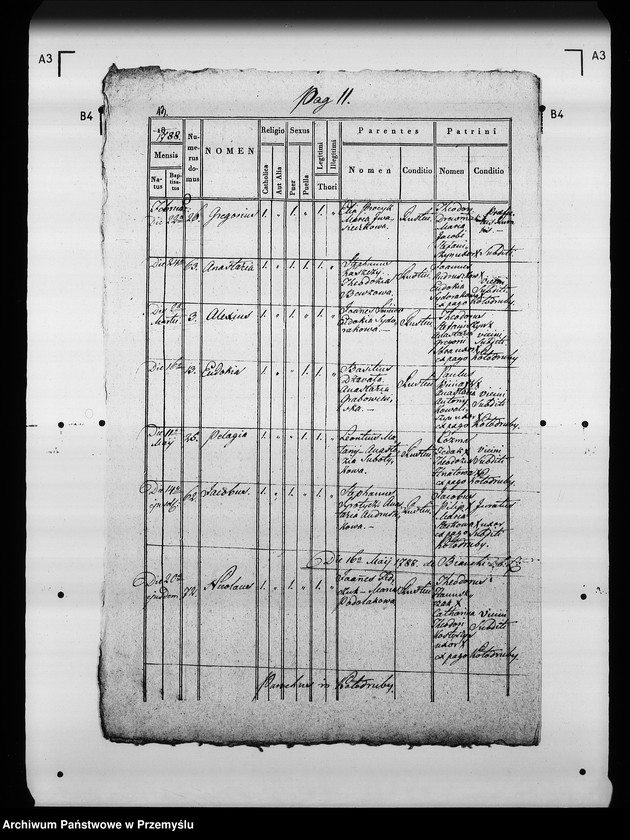 Obraz 16 z jednostki "[Kopie ksiąg metrykalnych parafii Kołodruby (dekanat Komarno)]"