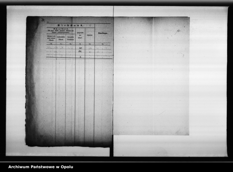 Obraz 19 z jednostki "Acta des Magistrats zu Oppeln betreffend Aufnahme und Einsendung der städtischen Tabellen von der Stadt Oppeln"