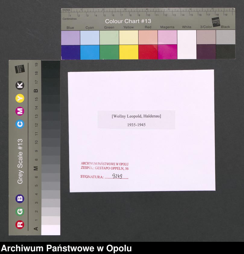 Obraz 2 z jednostki "[Wollny Leopold, Haldenau]"