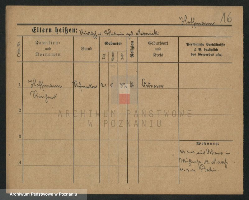Obraz 16 z jednostki "Hofman (samotni mężczyźni)"