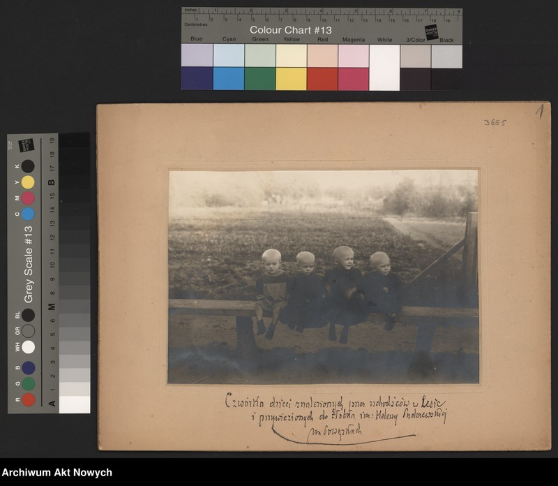 image.from.unit.number "Działalność H. Paderewskiej w Polskim Białym Krzyżu. Działalność Polskiego Białego Krzyża. Fotografie t.II"