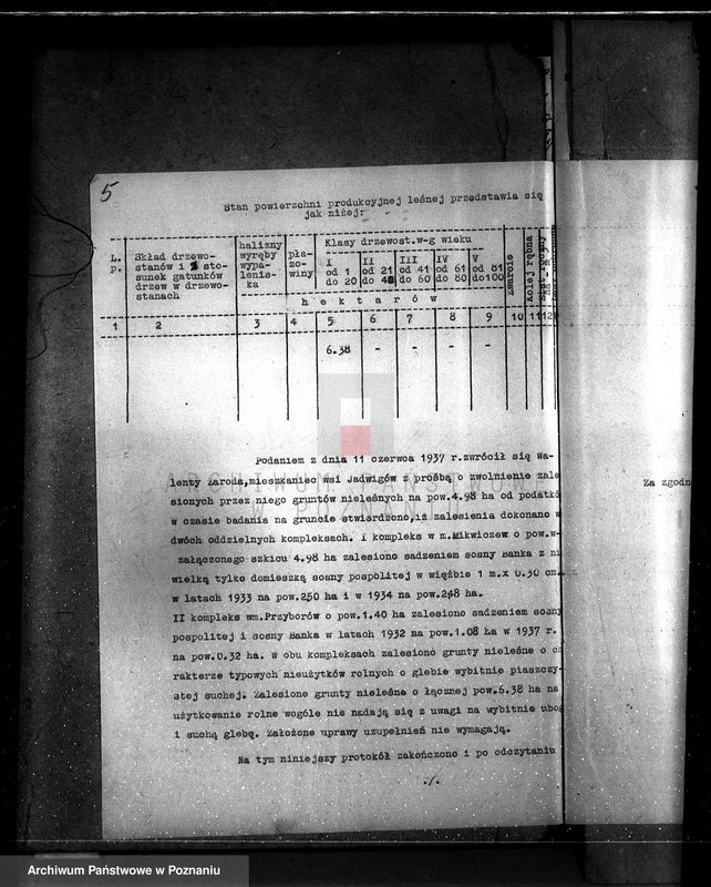 Obraz 9 z jednostki "Gmina Piorunów powiat turecki /nadzór nad gospodarką leśną/"