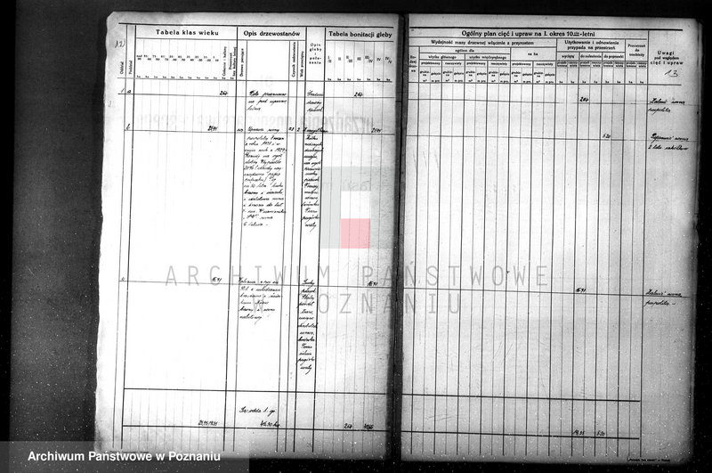 Obraz 17 z jednostki "Nadzór nad gospodarką leśną majątku Sławno powiat czarnkowskim"