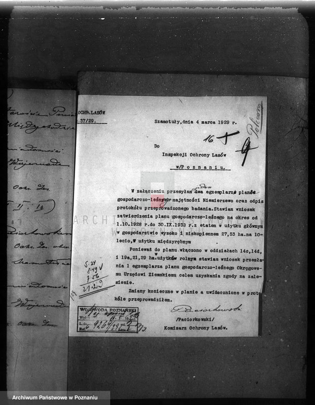 Obraz 20 z jednostki "Majętność leśna Niemierzewo w powiecie międzychodzkim"