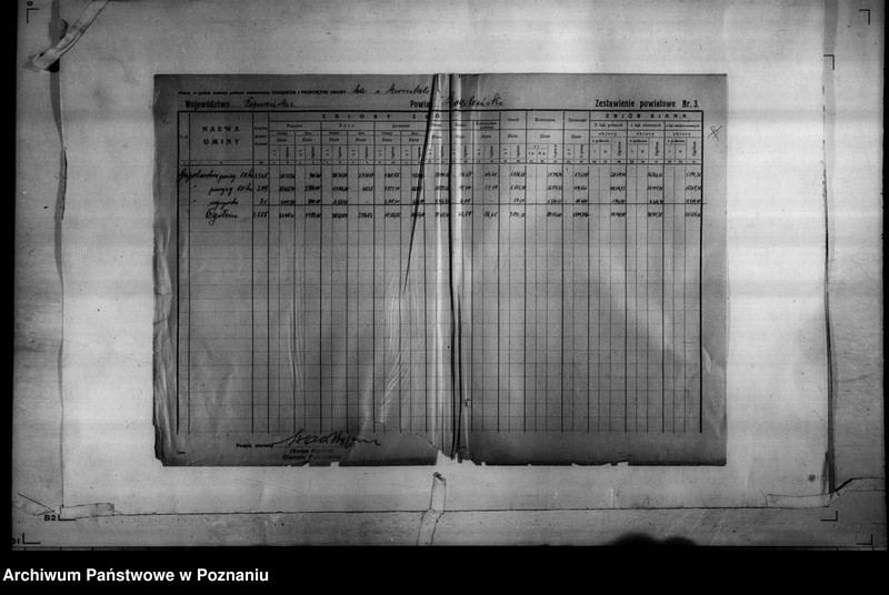 Obraz 4 z jednostki "/Statystyka produkcji rolnej - zestawienie powiatowe - Mogilno/"