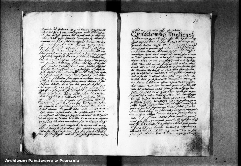 Obraz 17 z jednostki "Inscriptiones, relationes [inducta]"