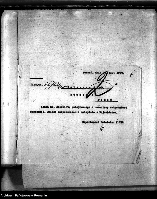 Obraz 10 z jednostki "Nosacizna - Tczew"