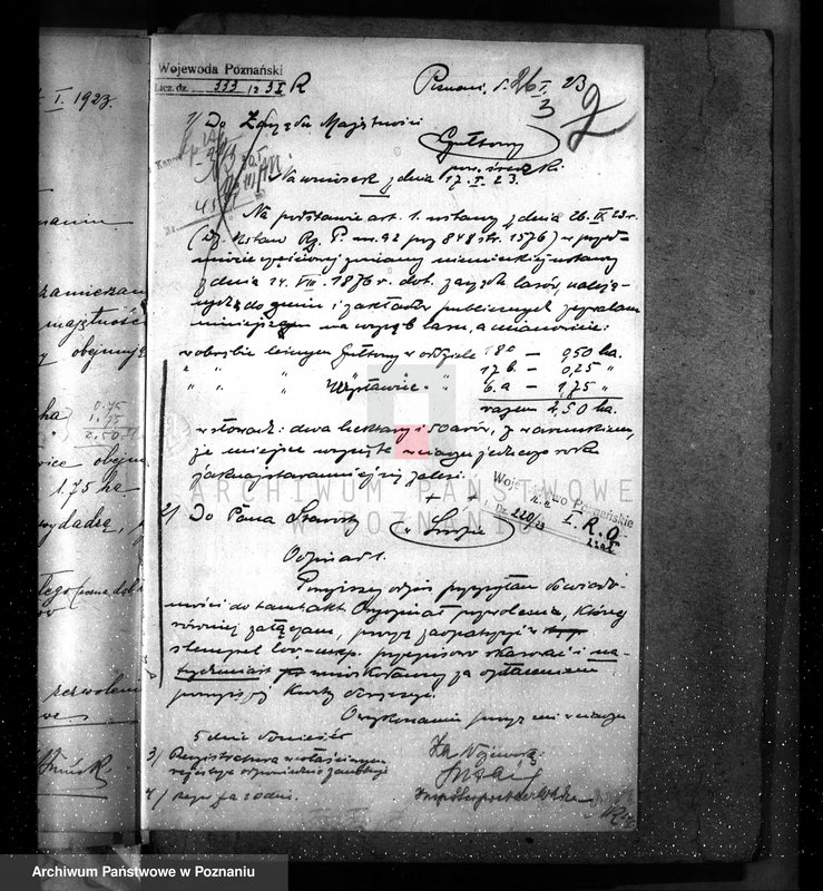 Obraz 7 z jednostki "Nadzór nad gospodarką w lasach majętności Gułtowy powiat średzki"