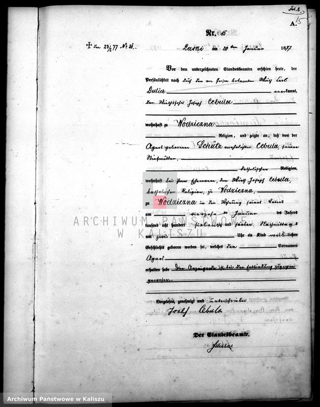 image.from.unit.number "[Księga urodzeń]"