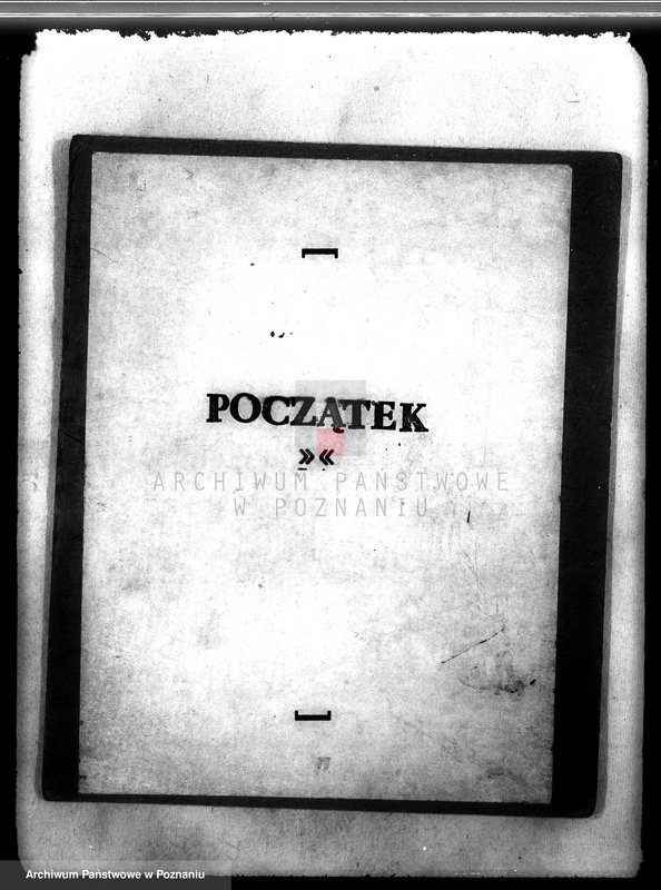 Obraz 3 z jednostki "Las majątku Krzycko Wielkie powiat leszczyński"