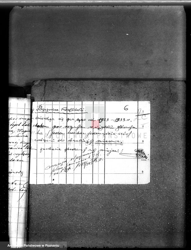 Obraz 10 z jednostki "Nadzór nad gospodarką w lasach majętności Koszuty powiat średzki"