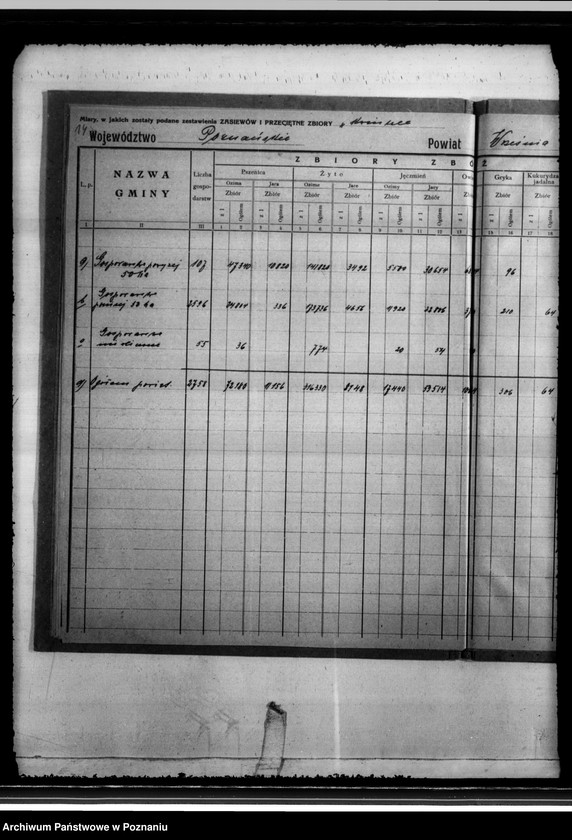 Obraz 18 z jednostki "/Statystyka produkcji rolnej - zestawienie powiatowe - Września/"