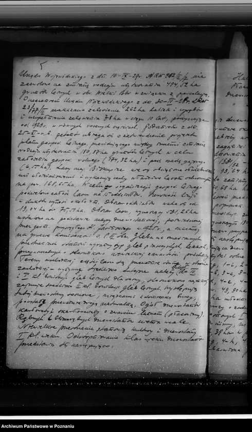 Obraz 9 z jednostki "Sprawa zmiany rodzaju użytków 180,87 ha gruntów leśnych w majątku Biskupiec-Wielki-Bór powiatu konińskiego dla celów gospodarstwa rolnego"