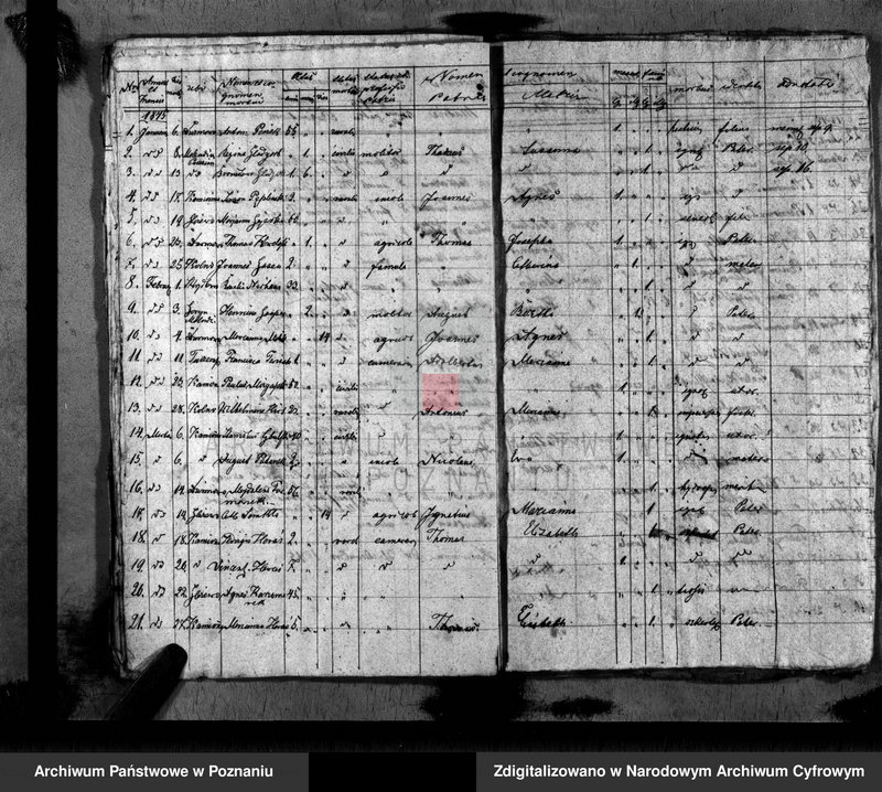 image.from.unit.number "Duplikat baptisatorum, copulatorum, mortuorum"