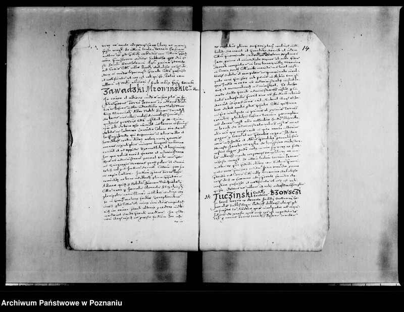 Obraz 17 z jednostki "Decreta [inducta]"