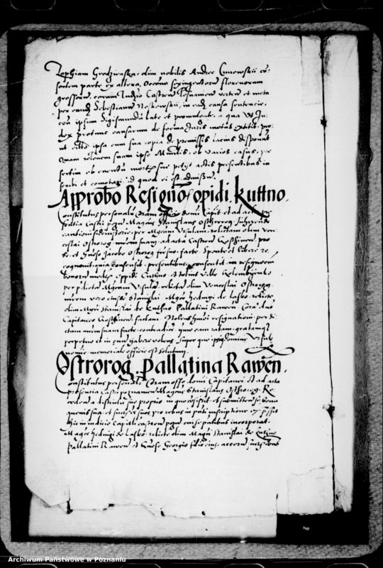 Obraz 8 z jednostki "Inscriptiones, relationes, decreta iudicii et officii [inducta]"