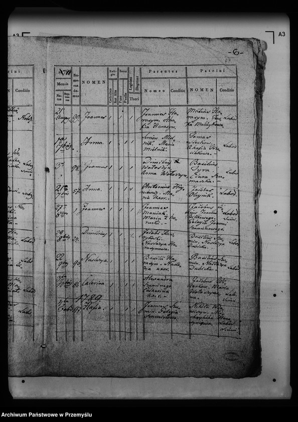 Obraz 11 z jednostki "[Kopie ksiąg metrykalnych parafii Krynica (dekanat Medenice)]"