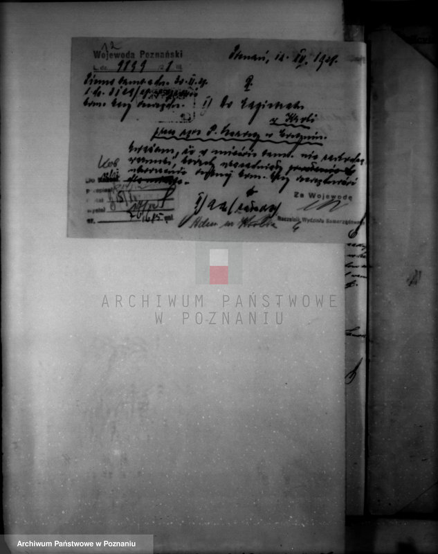 Obraz 16 z jednostki "Administracja miasta Krobi"