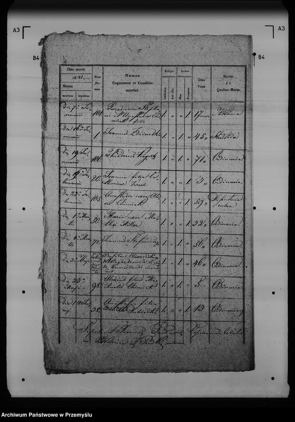 Obraz 8 z jednostki "[Kopie ksiąg metrykalnych parafii Rudki (dekanat Rudki)]"