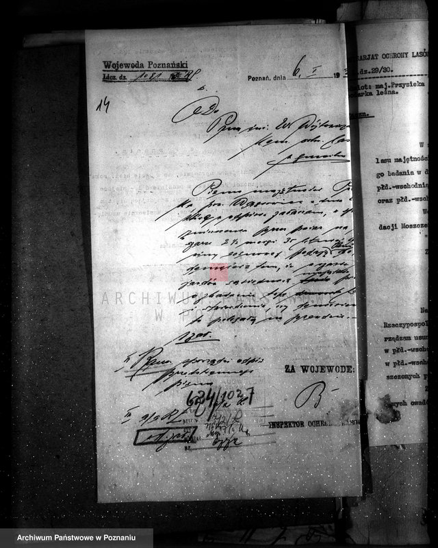 image.from.unit.number "Majętność leśna Przysieka powiat wągrowiecki"