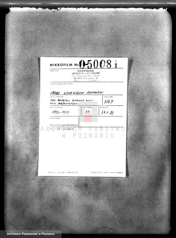 Obraz 2 z jednostki "Las majątku Borowy Młyn powiat międzychodzki"