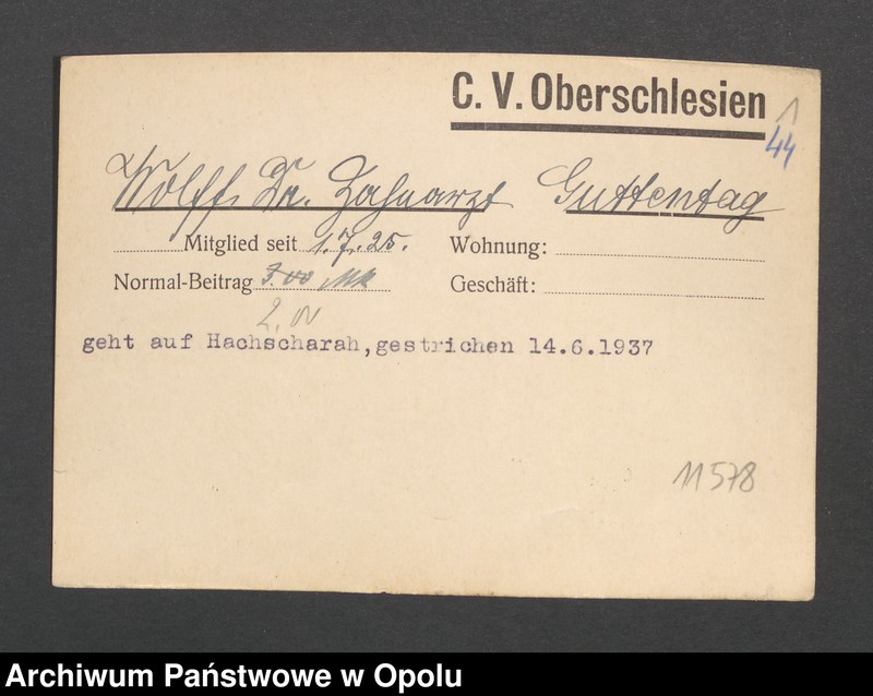 Obraz 3 z jednostki "[Wolff Dr, Guttentag]"