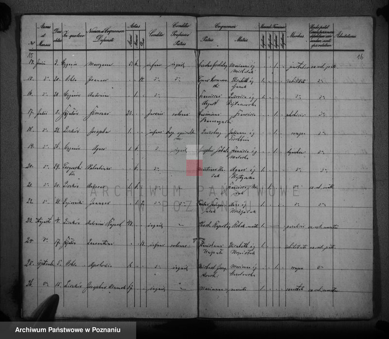 image.from.unit.number "Liber baptisatorum, copulatorum, mortuorum"