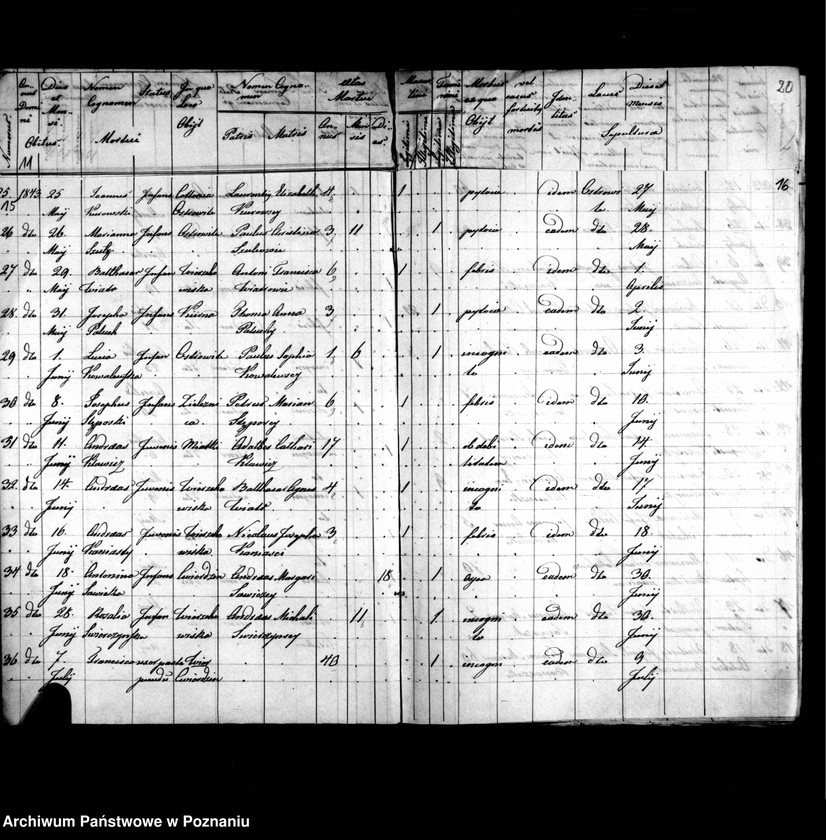 image.from.unit.number "Duplicatus baptisatorum, copulatorum, mortuorum"
