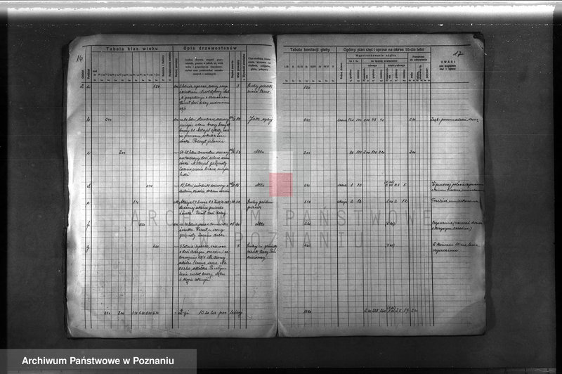 Obraz 17 z jednostki "Plan urządzenia gospodarstwa leśnego lasu majętności Łężeczki w powiecie międzychodzkim 1930-1939"