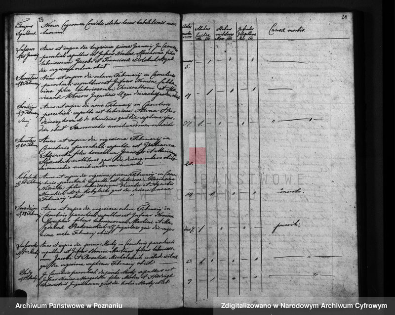 Obraz 15 z jednostki "Liber mortuorum"
