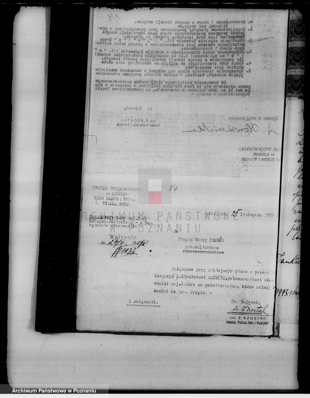 Obraz 20 z jednostki "Sprawy nieprawnych wyrębów lasu w majątku Janków w powiecie kaliskim"