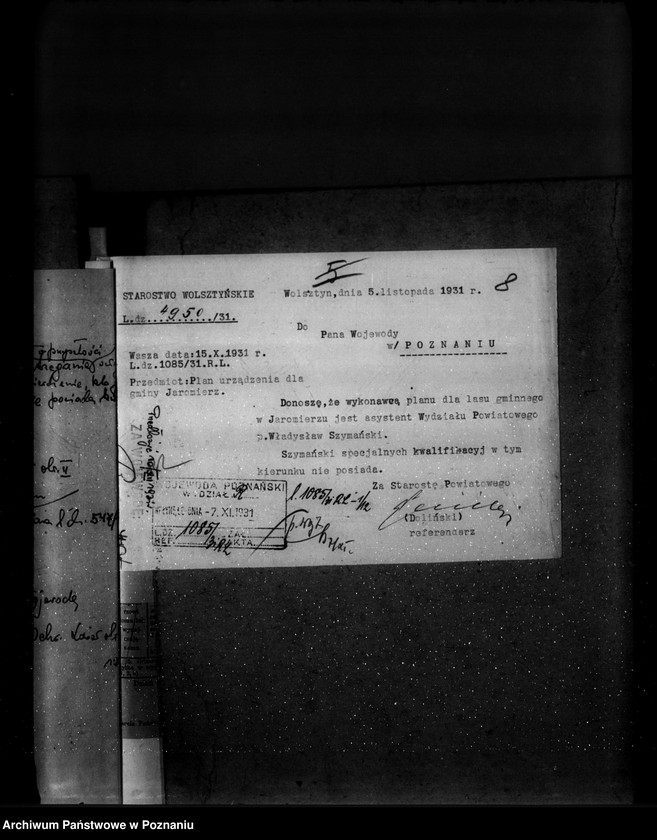 Obraz 14 z jednostki "Las gminy Jaromierz powiat wolsztyński"