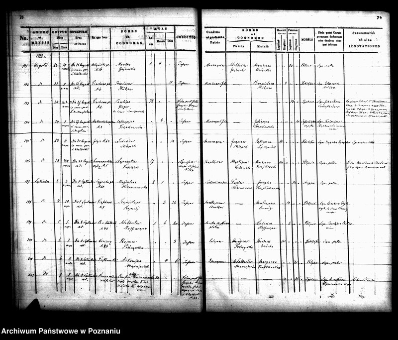 Obraz 19 z jednostki "Księga zgonów"