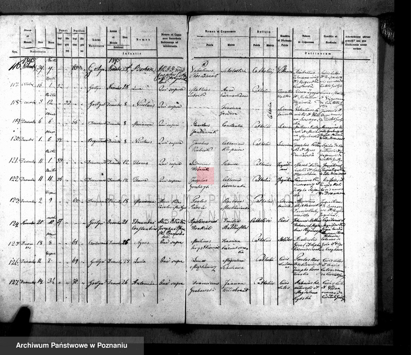 image.from.unit.number "Liber baptisatorum, copulatorum, mortuorum"