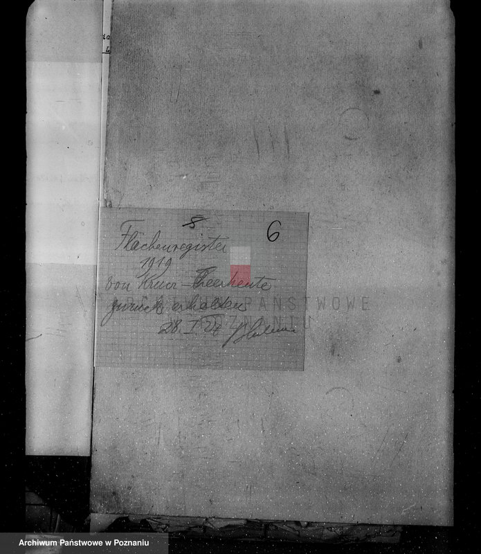 Obraz 10 z jednostki "Majętności leśne w Krucz-Goraju w powiecie czarnkowskim"