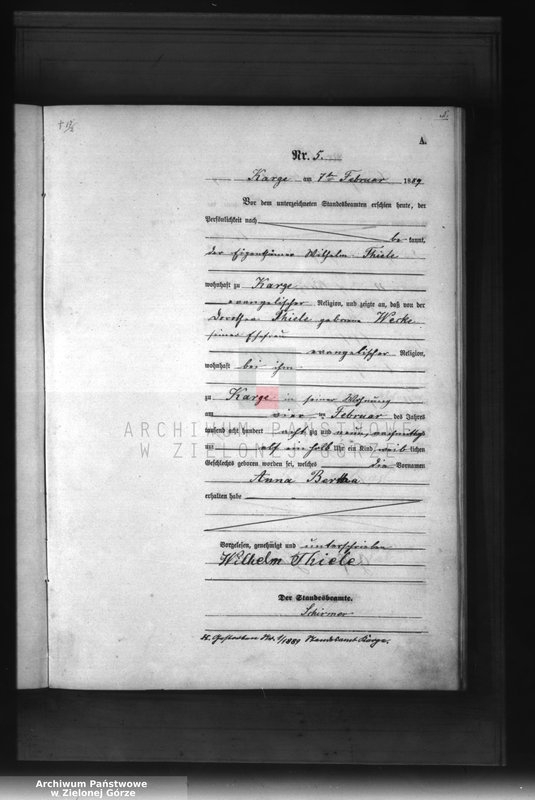 Obraz 8 z jednostki "[Księga aktów urodzenia]"
