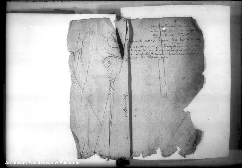 Obraz 3 z jednostki "Relationes [protocollon]"