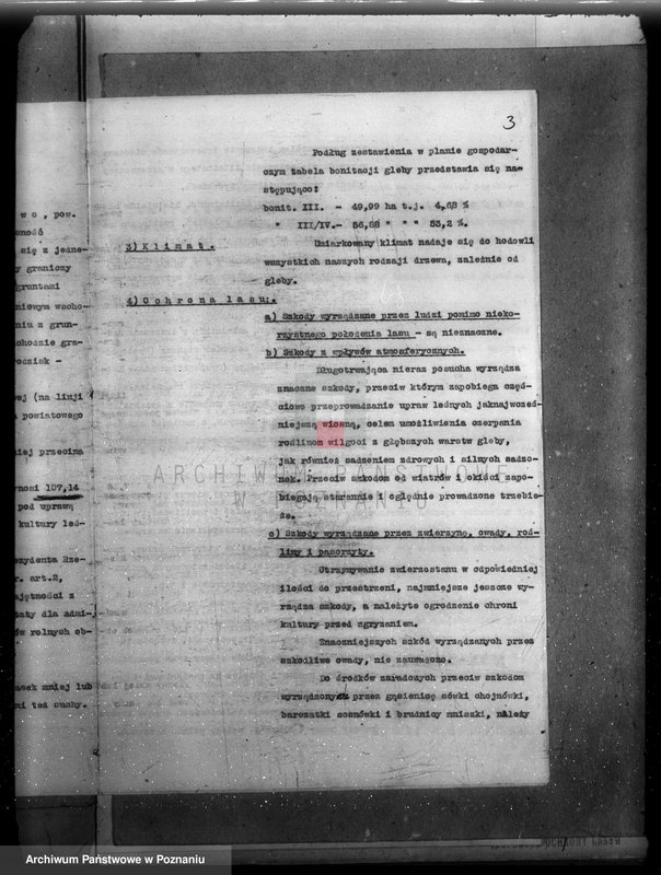 Obraz 7 z jednostki "Plan urządzenia gospodarstwa leśnego dla lasu majętności Grąblewo w powiecie nowotomyskim"