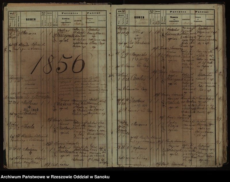 Obraz 7 z jednostki "Księga urodzeń z lat 1852-1896, małżeństw z lat 1862-1918, zgonów z lat 1859-1916 dla miejscowości Falejówka"