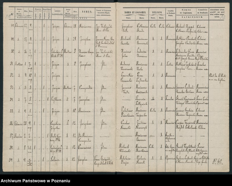 Obraz 10 z jednostki "Księga urodzin"